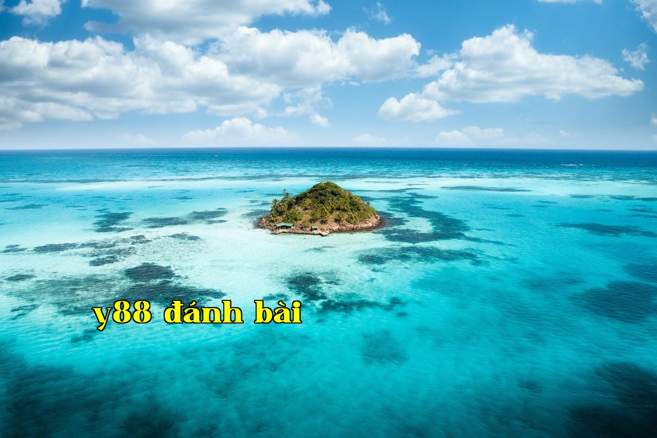 Tập trung vào những việc dài hạn và có tính chắc chắn cao - m88vin - cổng game quốc tế