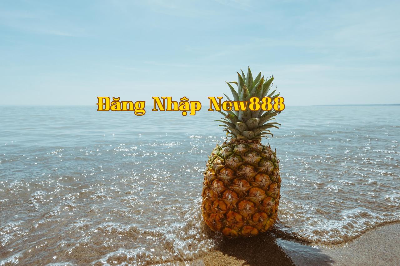 Vì sao tôi không thể từ bỏ Flomo - Tipgamebai Game Bài 247